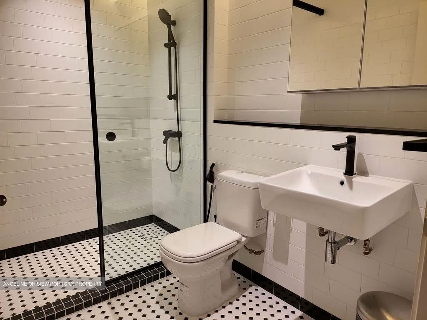 Holland Rise (D10), Apartment #534234921